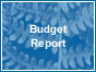 Budget Report Logo