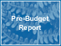 logo pre budget report