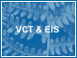 VCT EIS Logo